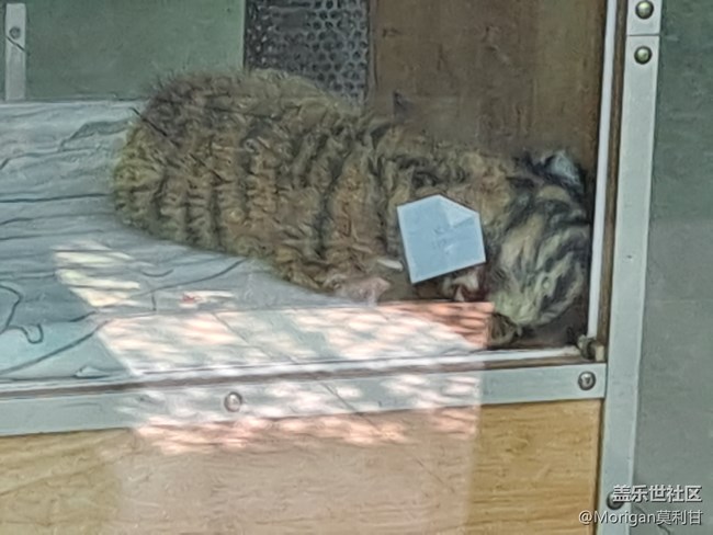 【Galaxy A51 5G星粉體驗活動】最具性價比的次旗艦