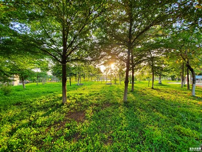 心懷怡靜  處處皆風(fēng)景~