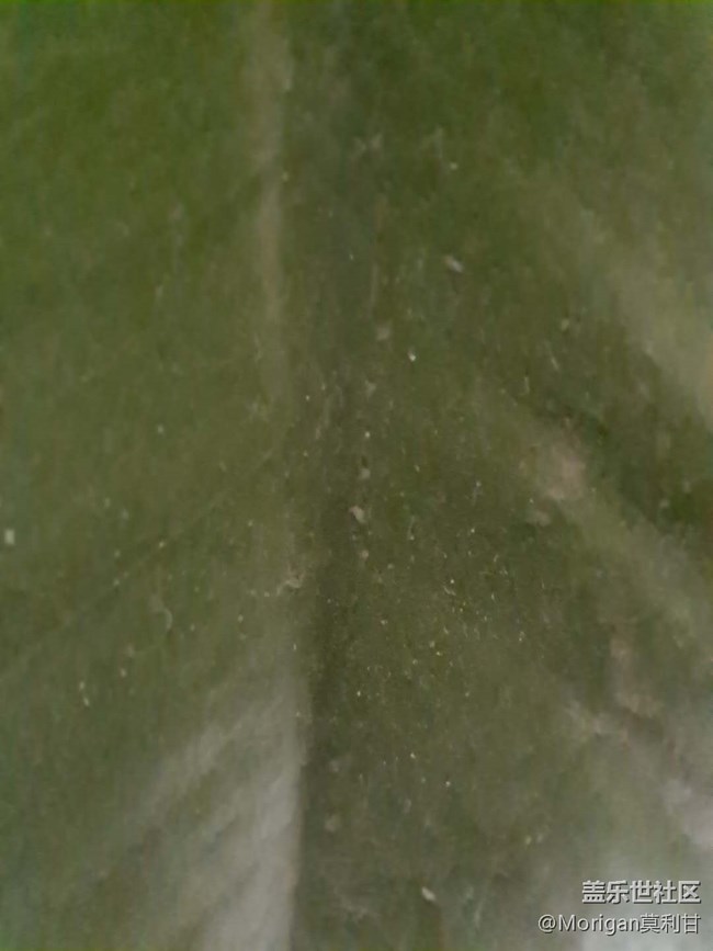 【Galaxy A51 5G星粉體驗活動】最具性價比的次旗艦