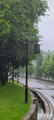 逛逛隨便拍