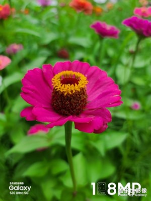 夏日濕地公園