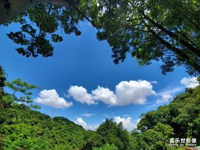 烈日灼心，晴空萬里！