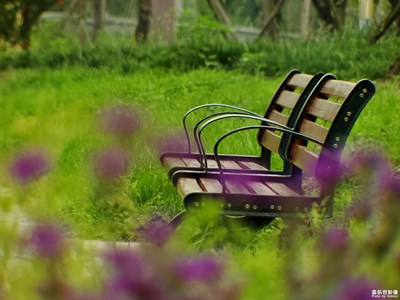 【角度與視覺(jué)】+遠(yuǎn)近高低各不同