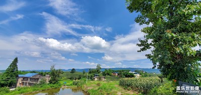 20年不平凡、祝愿所有學(xué)子考入自己理想的校園