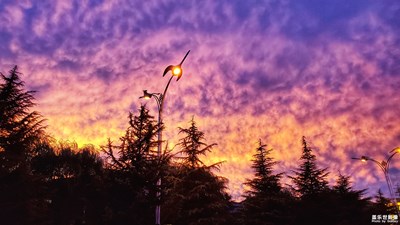 三星S10+在香格里拉（第九期）