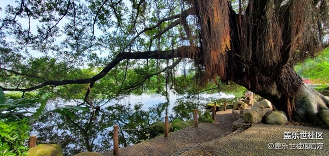 《每周星鮮事》第34期：三星Galaxy新品發(fā)布會于8月5日召開