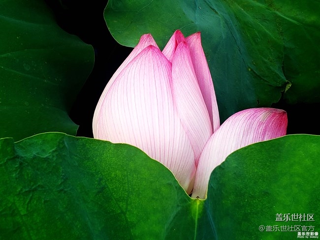 《每周星鮮事》第34期：三星Galaxy新品發(fā)布會于8月5日召開