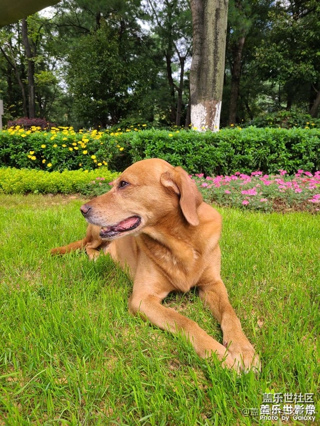 《每周星鮮事》第34期：三星Galaxy新品發(fā)布會于8月5日召開