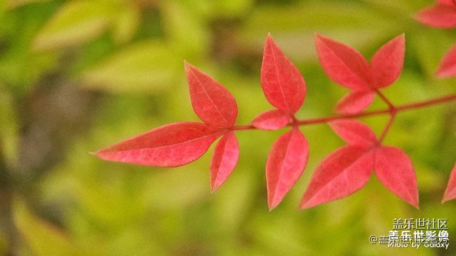 《每周星鮮事》第34期：三星Galaxy新品發(fā)布會于8月5日召開