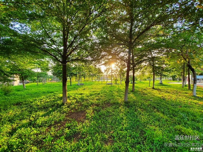 《每周星鮮事》第34期：三星Galaxy新品發(fā)布會于8月5日召開