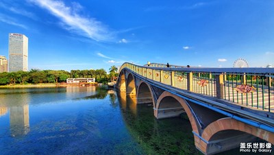 安靜的夏天
