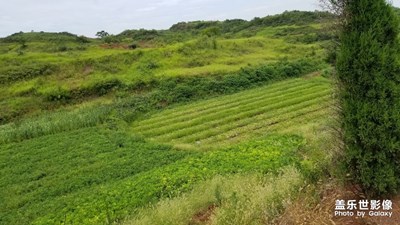 到鄉(xiāng)下采樣土壤