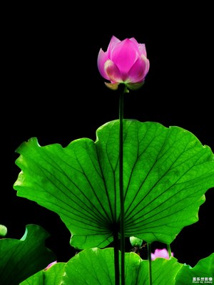 【生活志】+隨拍中的趣味點(diǎn)