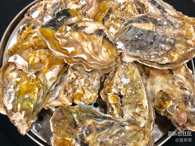 【午夜饕餮】半夜拉仇恨的蒜蓉生蠔