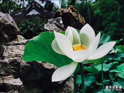 游古漪園