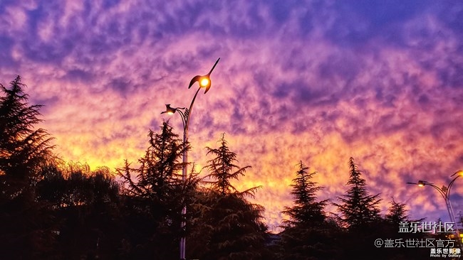 《每周星鮮事》第35期：Galaxy Z Flip 5G新色于7月22日預(yù)定