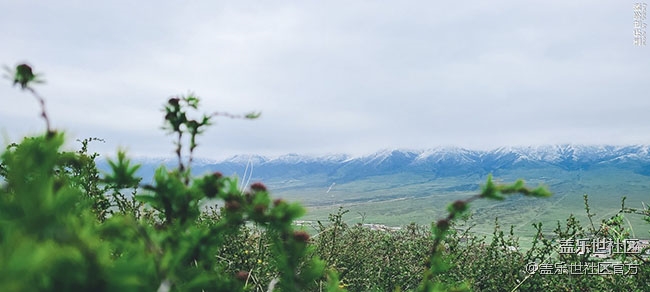 《每周星鮮事》第35期：Galaxy Z Flip 5G新色即將發(fā)布