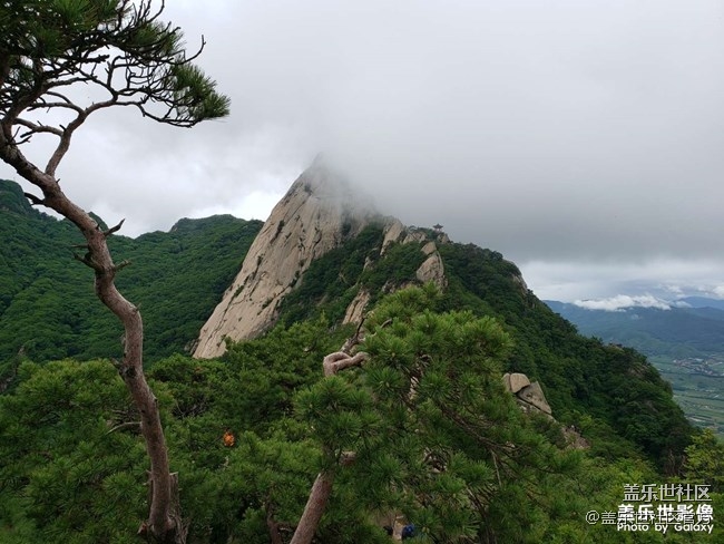 《每周星鮮事》第35期：Galaxy Z Flip 5G新色即將發(fā)布