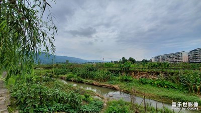 美麗鄉(xiāng)村