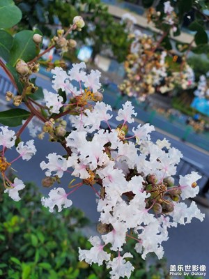 魔都風(fēng)景