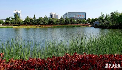 【城市相冊】+大美馬龍