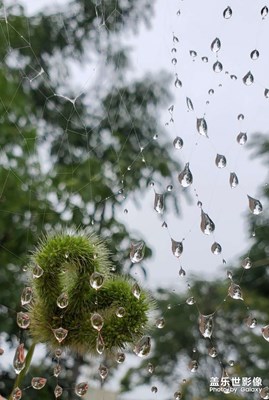 雨中