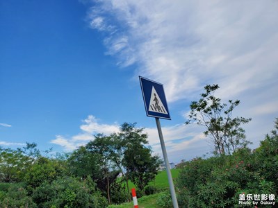 暑假練車路邊的風(fēng)景