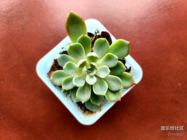 三星S20 Ultra評(píng)測(cè)：1.08億像素拍出精彩的世界