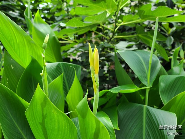 三星S20 Ultra評(píng)測(cè)：1.08億像素拍出精彩的世界