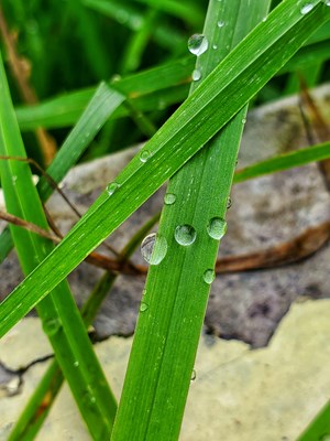 三星S10+在香格里拉（第十四期）