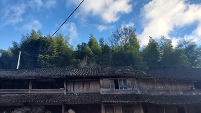青山綠水