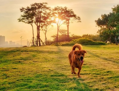 【記錄此刻】+隨手拍
