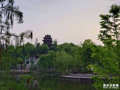公園景色