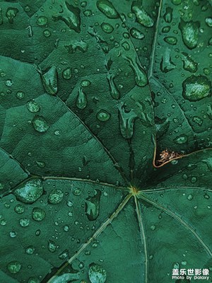 【記錄此刻】 雨后停走
