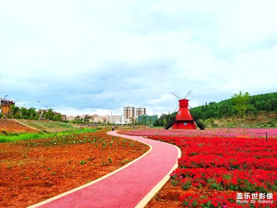 【記錄此刻】+城市風(fēng)景