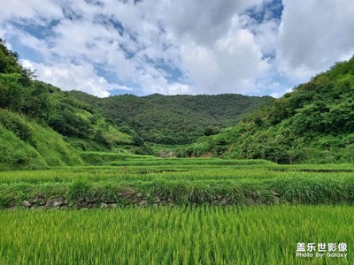 彝族村落发展旅游业