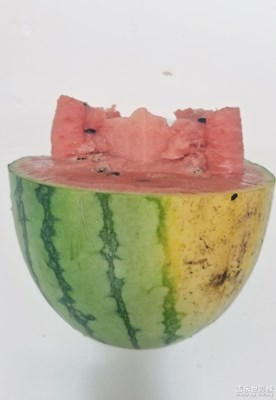 【記錄此刻】美味