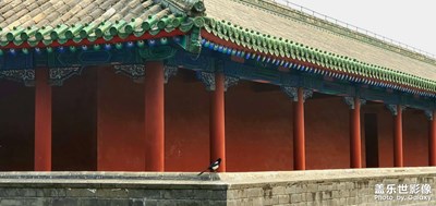 隨便發(fā)發(fā)以前拍的