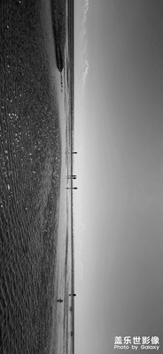青海湖一日游