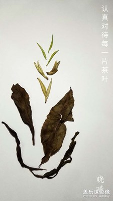 【記錄此刻】+認真生活