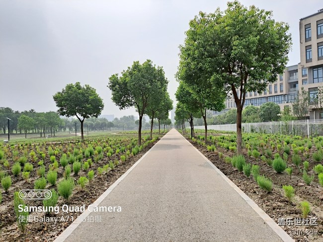 【Galaxy A71 5G評(píng)測(cè)活動(dòng)】何必非要追求旗艦，三星A71評(píng)測(cè)