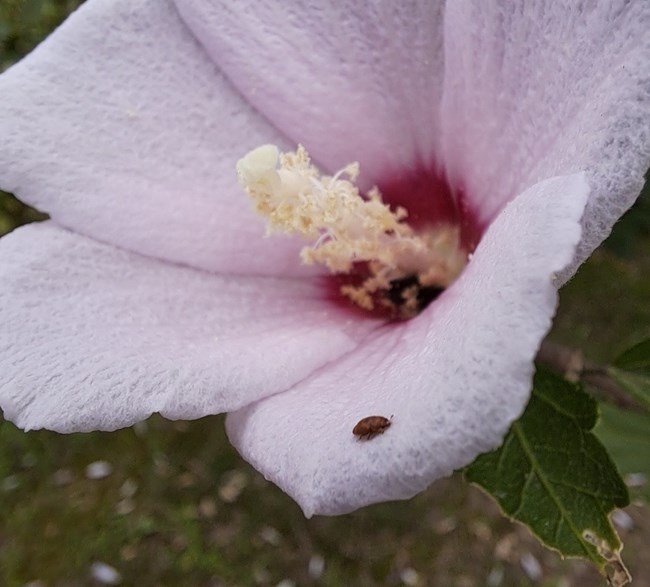 Galaxy A71 5G評(píng)測(cè)活動(dòng)  年輕人的高性能5G手機(jī)