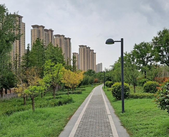 Galaxy A71 5G評(píng)測(cè)活動(dòng)  年輕人的高性能5G手機(jī)