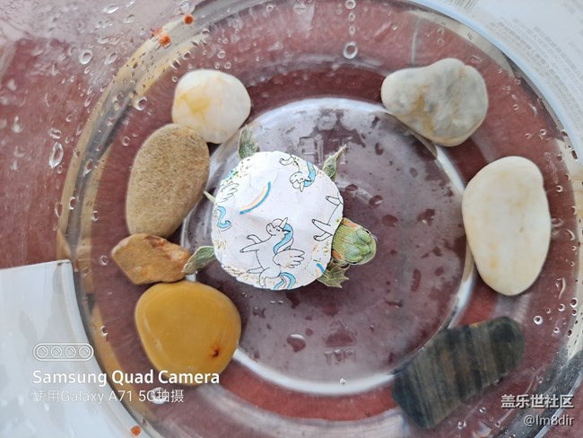 【Galaxy A71 5G評(píng)測(cè)活動(dòng)】何必非要追求旗艦，三星A71評(píng)測(cè)