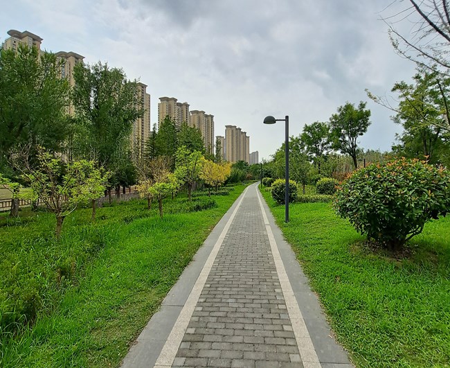 Galaxy A71 5G評(píng)測(cè)活動(dòng)  年輕人的高性能5G手機(jī)