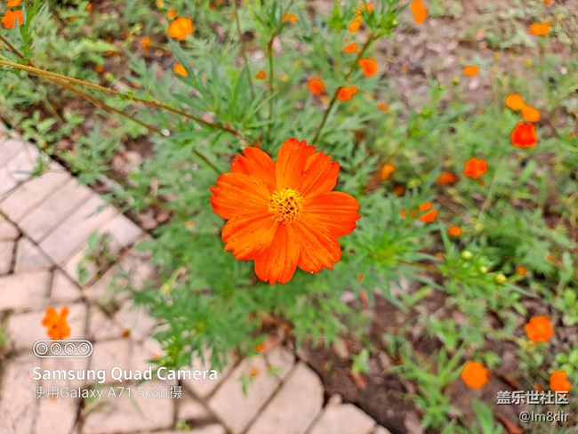 【Galaxy A71 5G評(píng)測(cè)活動(dòng)】何必非要追求旗艦，三星A71評(píng)測(cè)