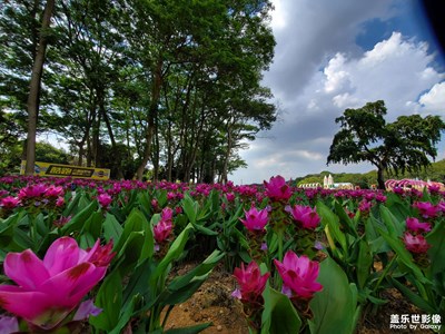東莞-松山湖夢(mèng)幻百花洲