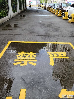s20+的隨手拍