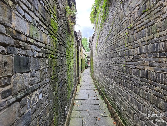 【Galaxy A71 5G評(píng)測(cè)活動(dòng)】三星 Galaxy A71 烏鎮(zhèn)隨拍