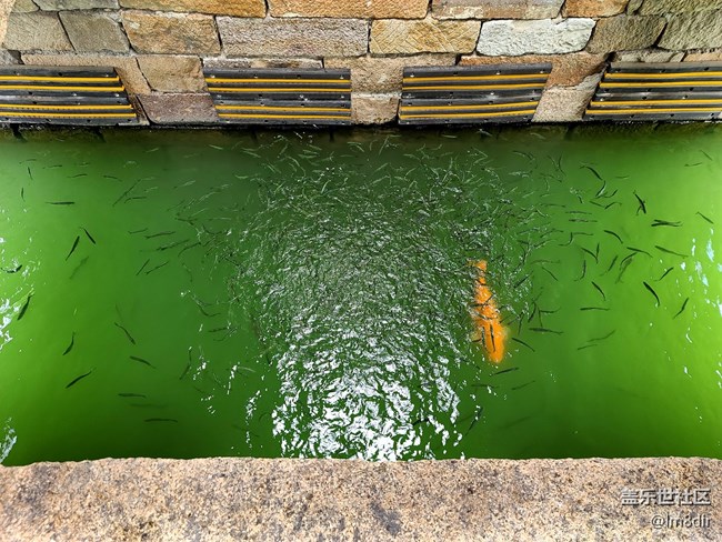 【Galaxy A71 5G評(píng)測(cè)活動(dòng)】三星 Galaxy A71 烏鎮(zhèn)隨拍